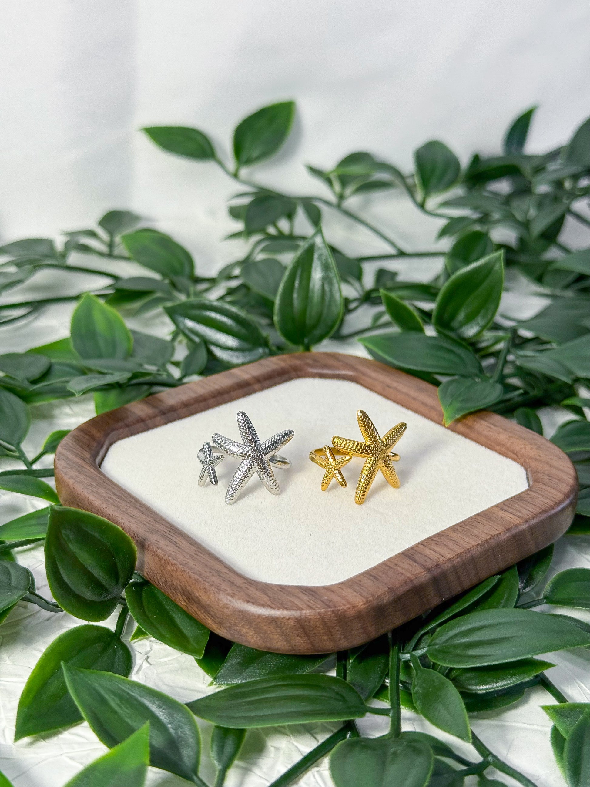 Estrela da Areia