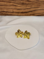 Flor de Luz – Brinco