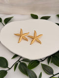 Estrela do Mar