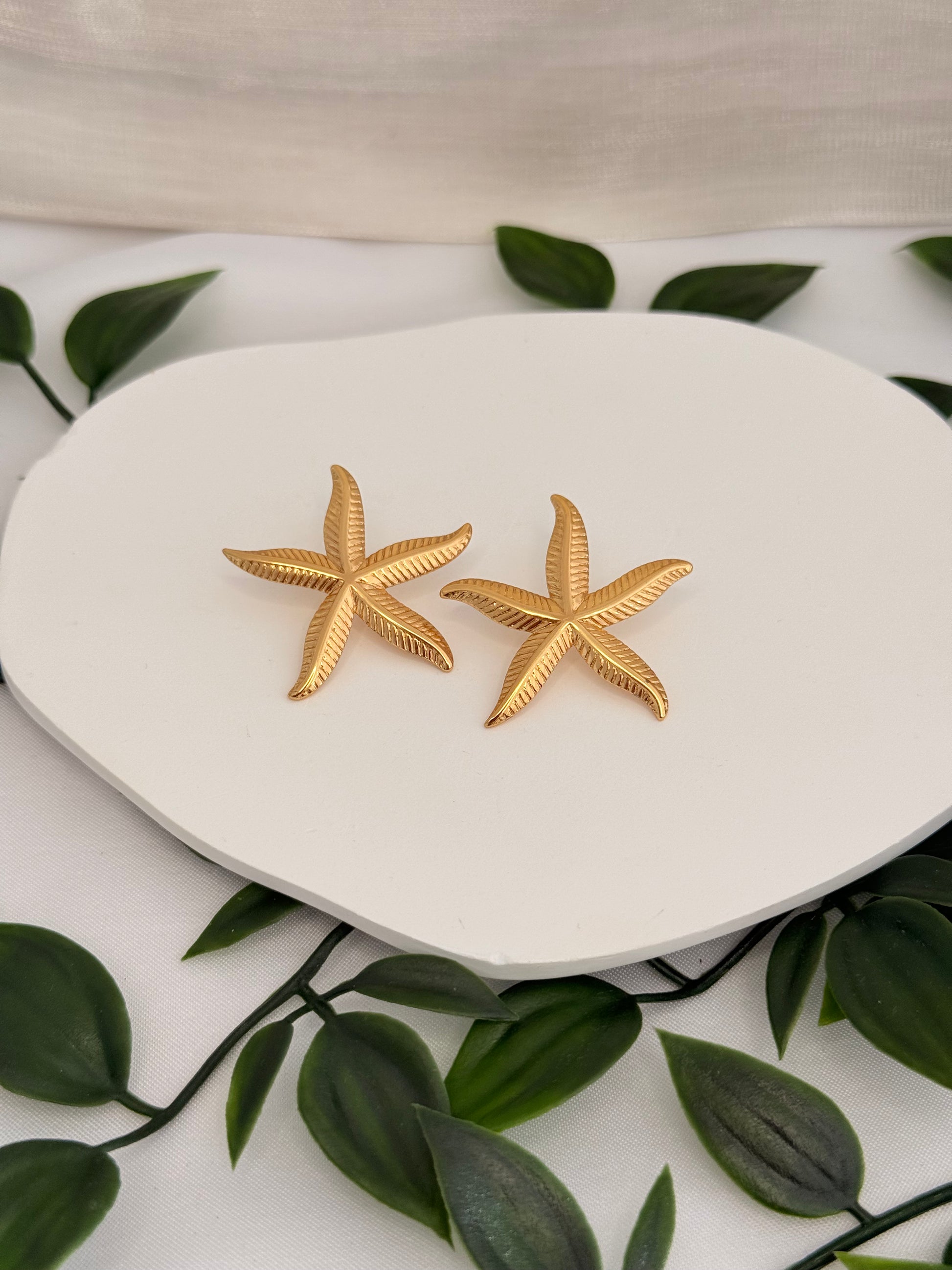 Estrela do Mar