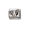 Cão